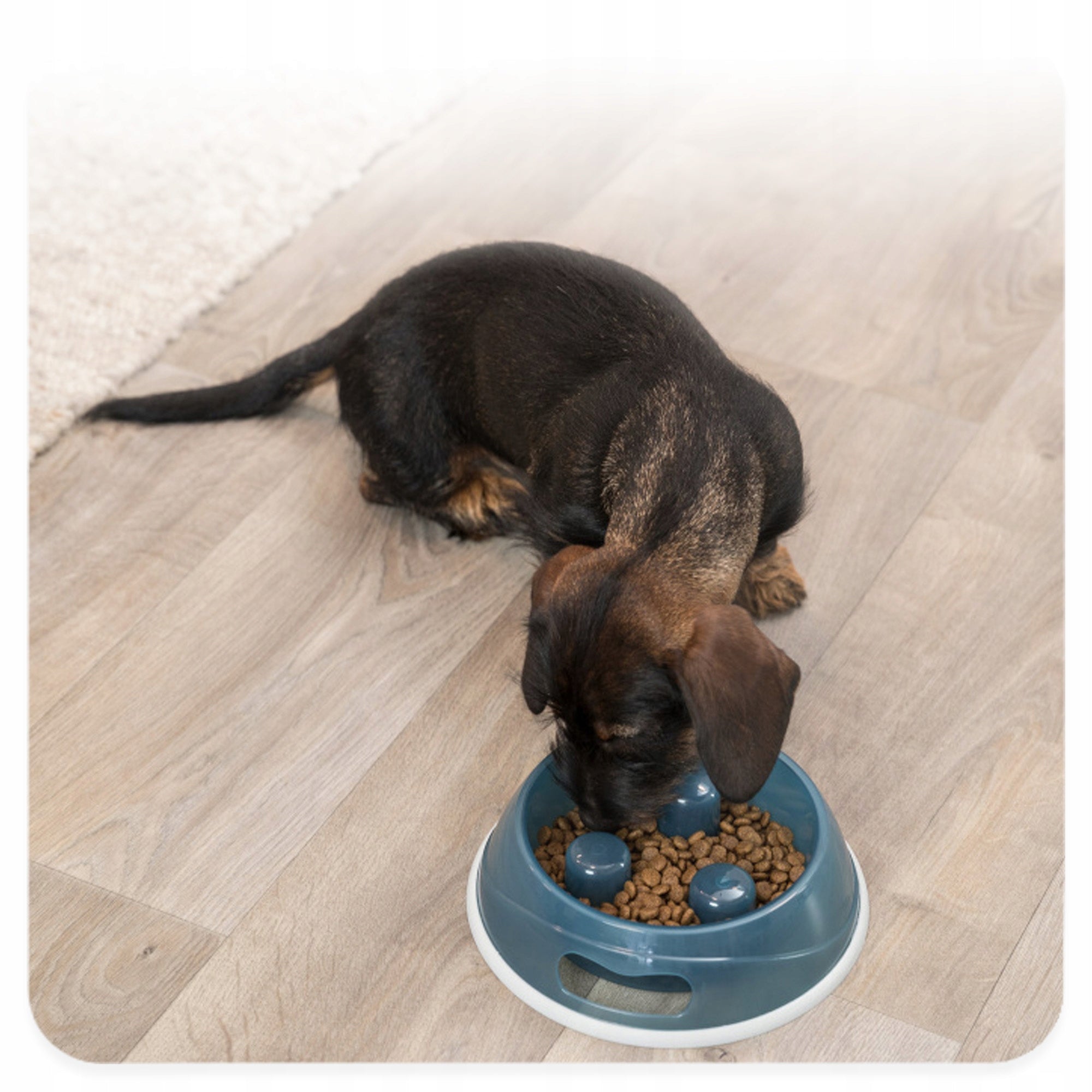 DOG FOOD SLOWING BOWL 0,9 l Plastic ANTI-SLIP PROTRUSION F8 Material made from a synthetic material
