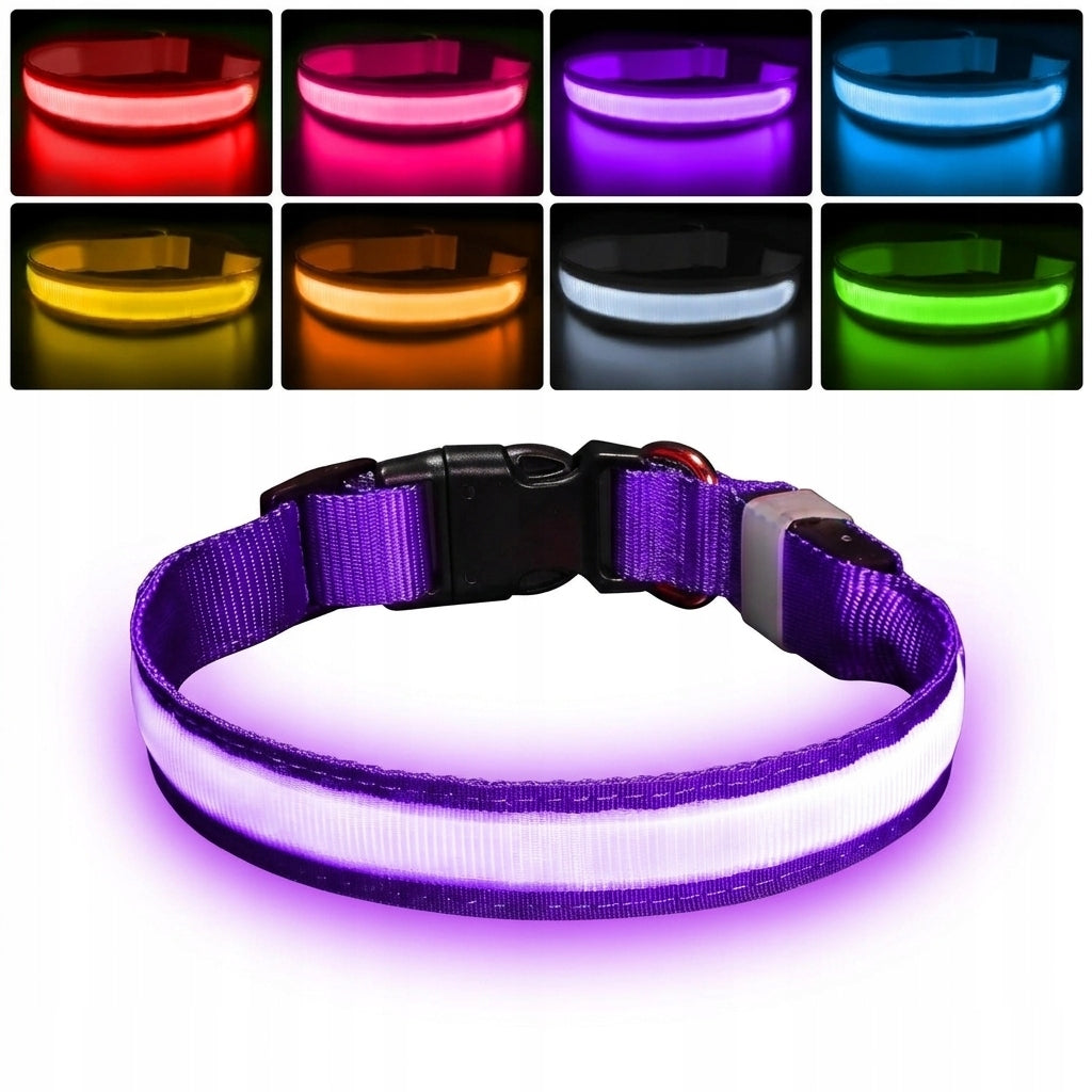 DOG GLOW COLLAR PHILOLET USB STRONG 50-60CM purple