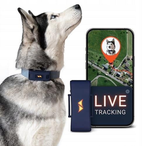 DOG GPS LOCATOR 4G WATERPROOF IP67 WITH SUBSCRIPTION Packaging status original