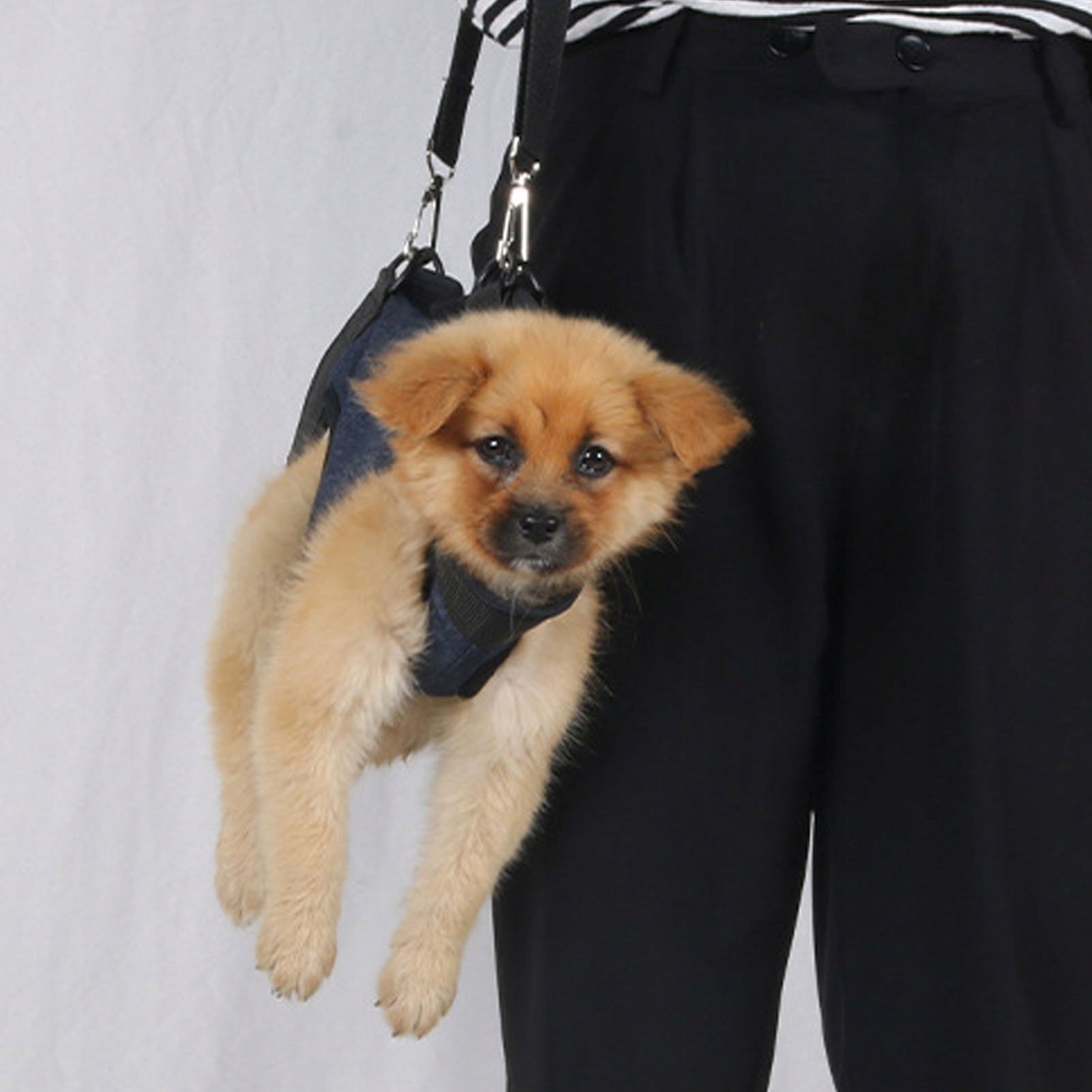 DOG HARNESS ADJUSTABLE BREATHABLE PRESSURE-FREE DURABLE Dog size not specified
