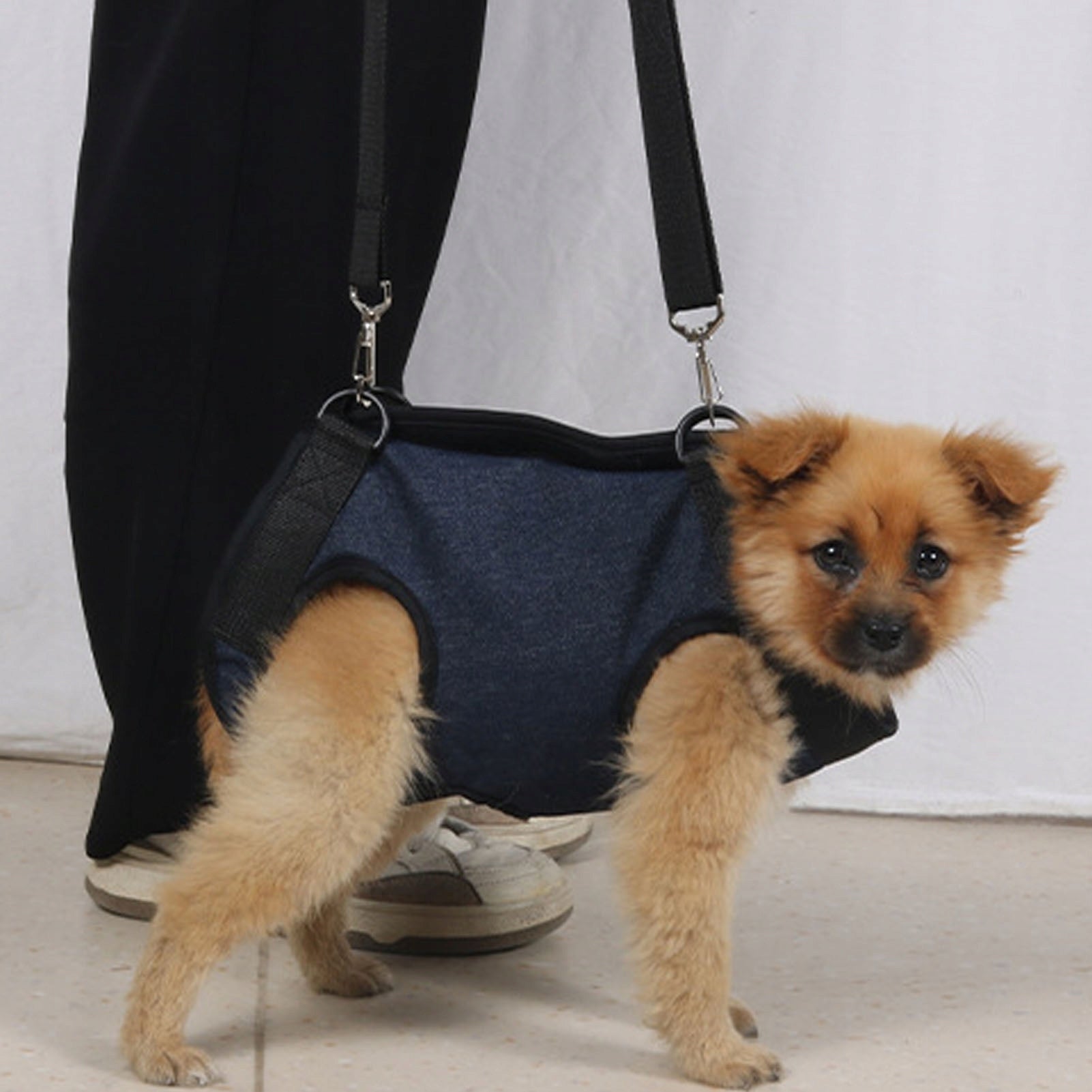 DOG HARNESS ADJUSTABLE BREATHABLE PRESSURE-FREE DURABLE Manufacturer code 2110230116312