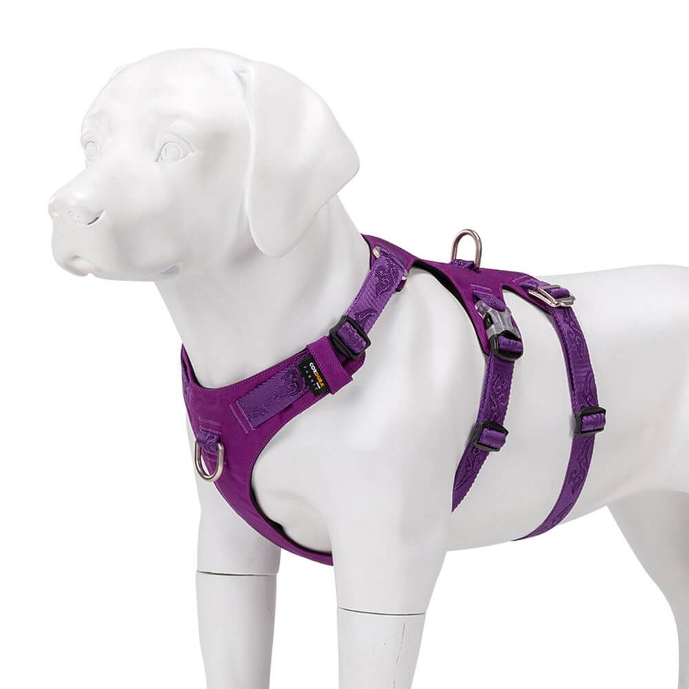 DOG HARNESS ANTI-ESCAPE WATERPROOF WINHYEPET ESCAPE SOFT PURPLE S Type tactical harness