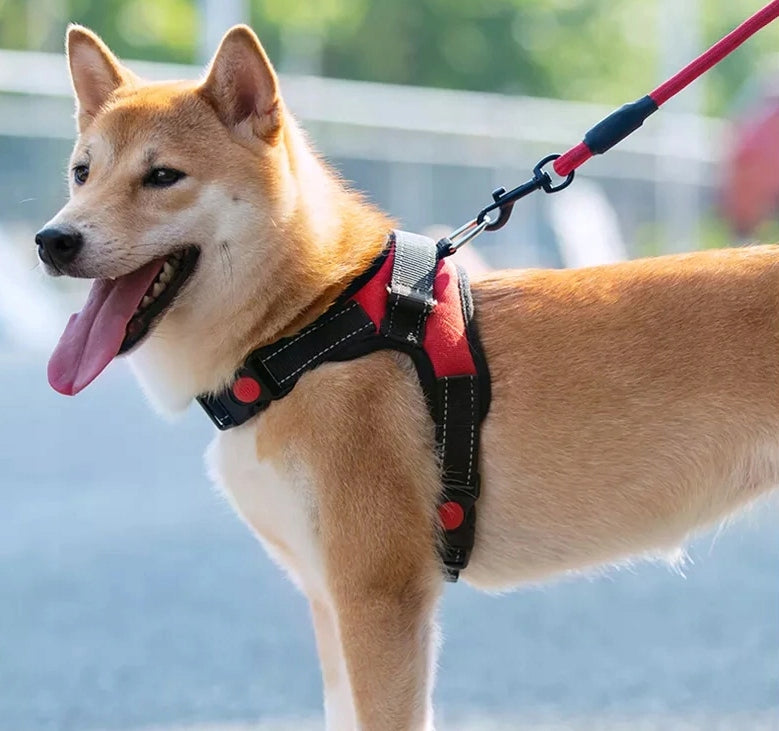 DOG HARNESS CAT ANIMALS PRESSURE-FREE LIGHTWEIGHT ADJUSTABLE L 65-85cm Packaging status original