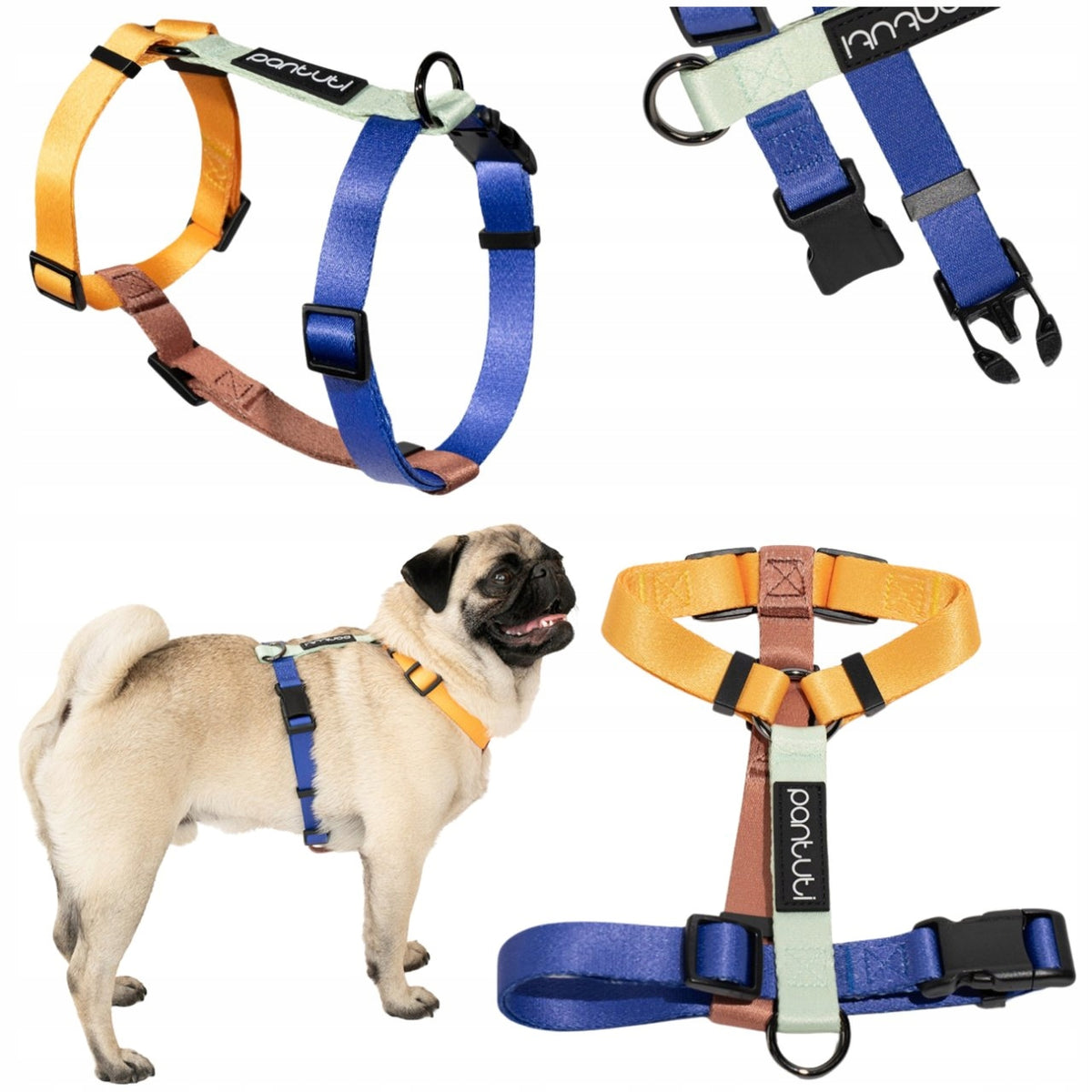 DOG HARNESS GUARD HARNESS FOR SMALL DOG STRONG COLORFUL PORTO XS