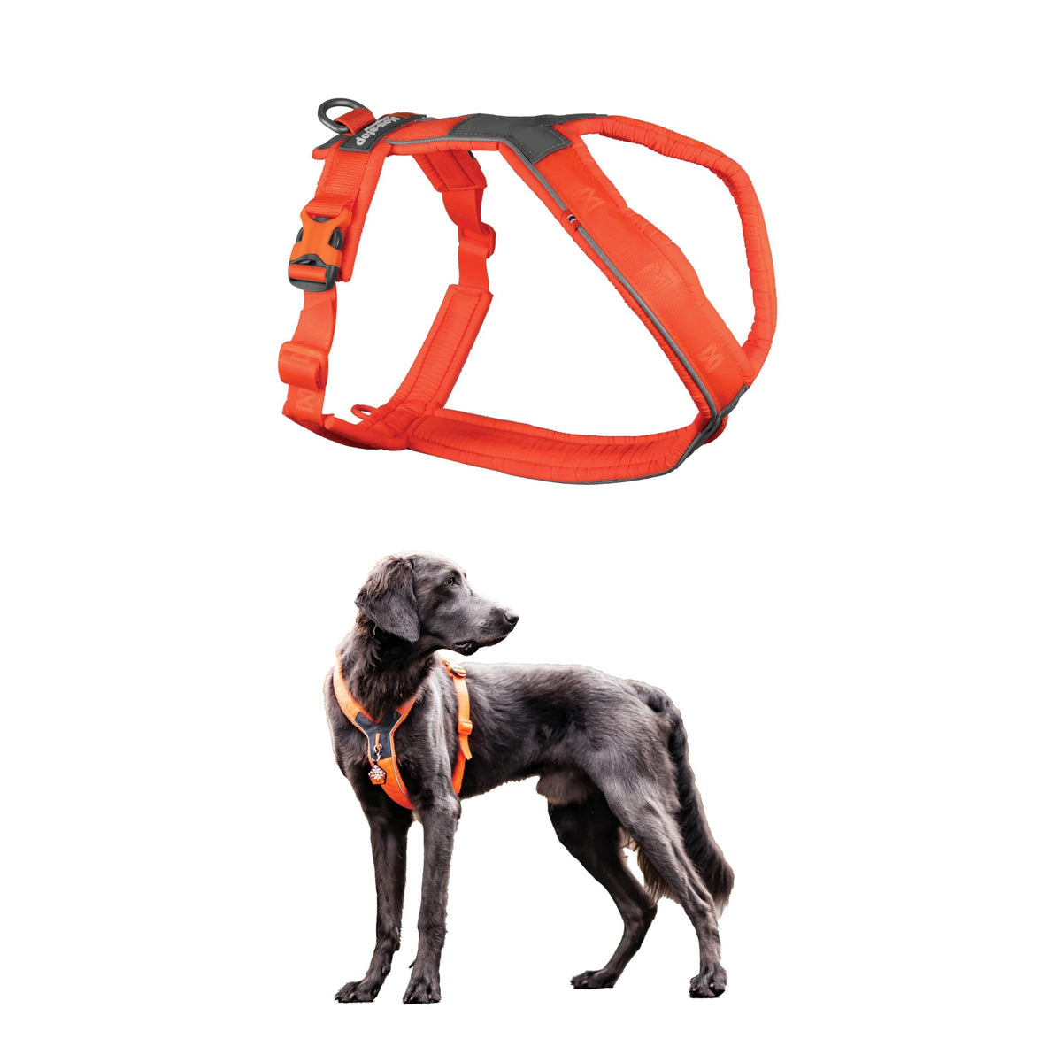 DOG HARNESS ORANGE SIZE 8 ADJUSTABLE REFLECTIVE