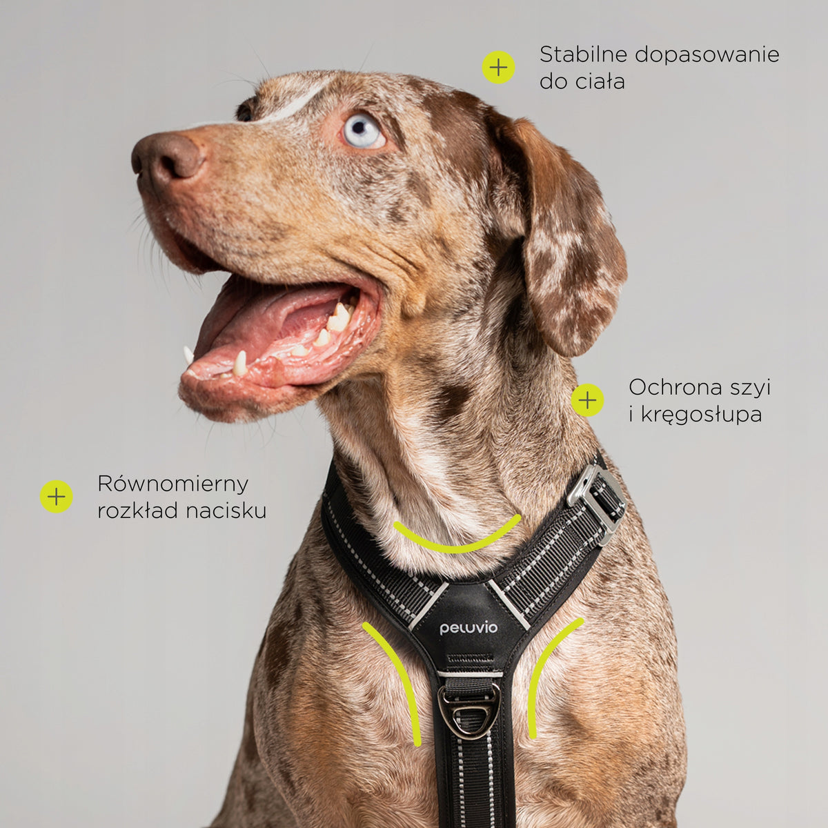 DOG HARNESS PRESSURE-FREE PROFESSIONAL STRONG REFLECTIVE MEDIUM DOG M Manufacturer code SZELKI DLA PSA BEZUCISKOWE odblaskowe M