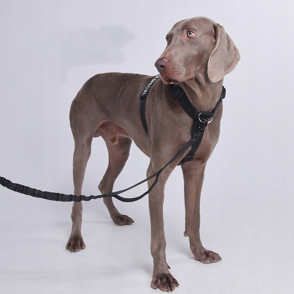 DOG HARNESS PRESSURE-FREE WALKING ADJUSTABLE GUARD SIZE XL Trade name Szelki dla Psa Guard Paski Czarne XL