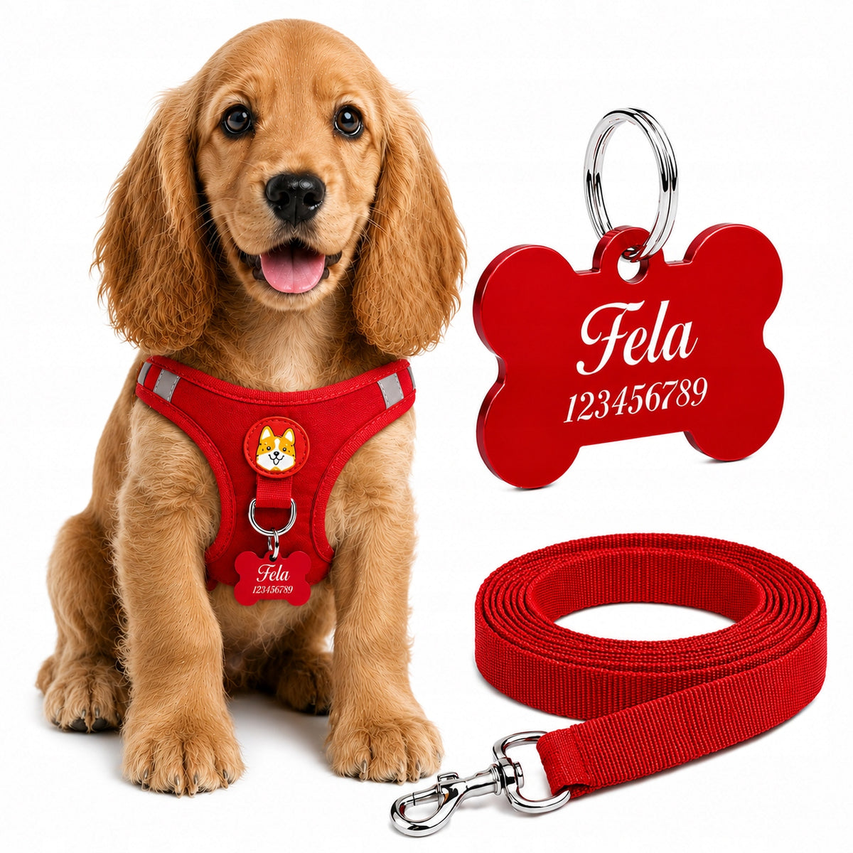 DOG HARNESS RED r. L ADDRESS CARD PERSONALIZATION LEASH