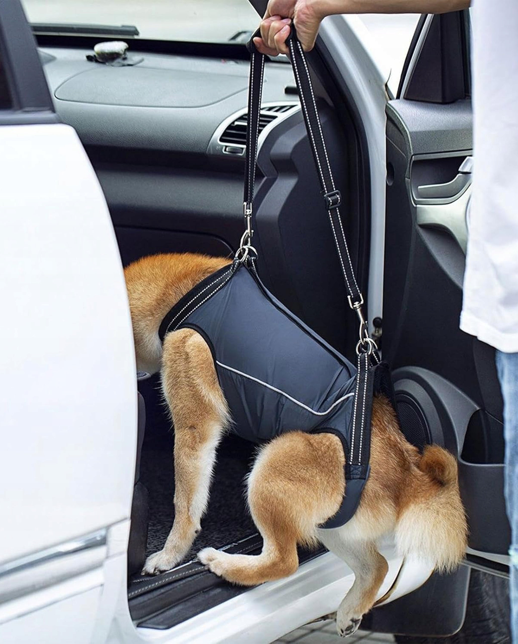 DOG HARNESS Rehabilitation Harness For Animal Lifting Carrier XS Manufacturer code Szelki dla Psa Wspomagające Chodzenie XS