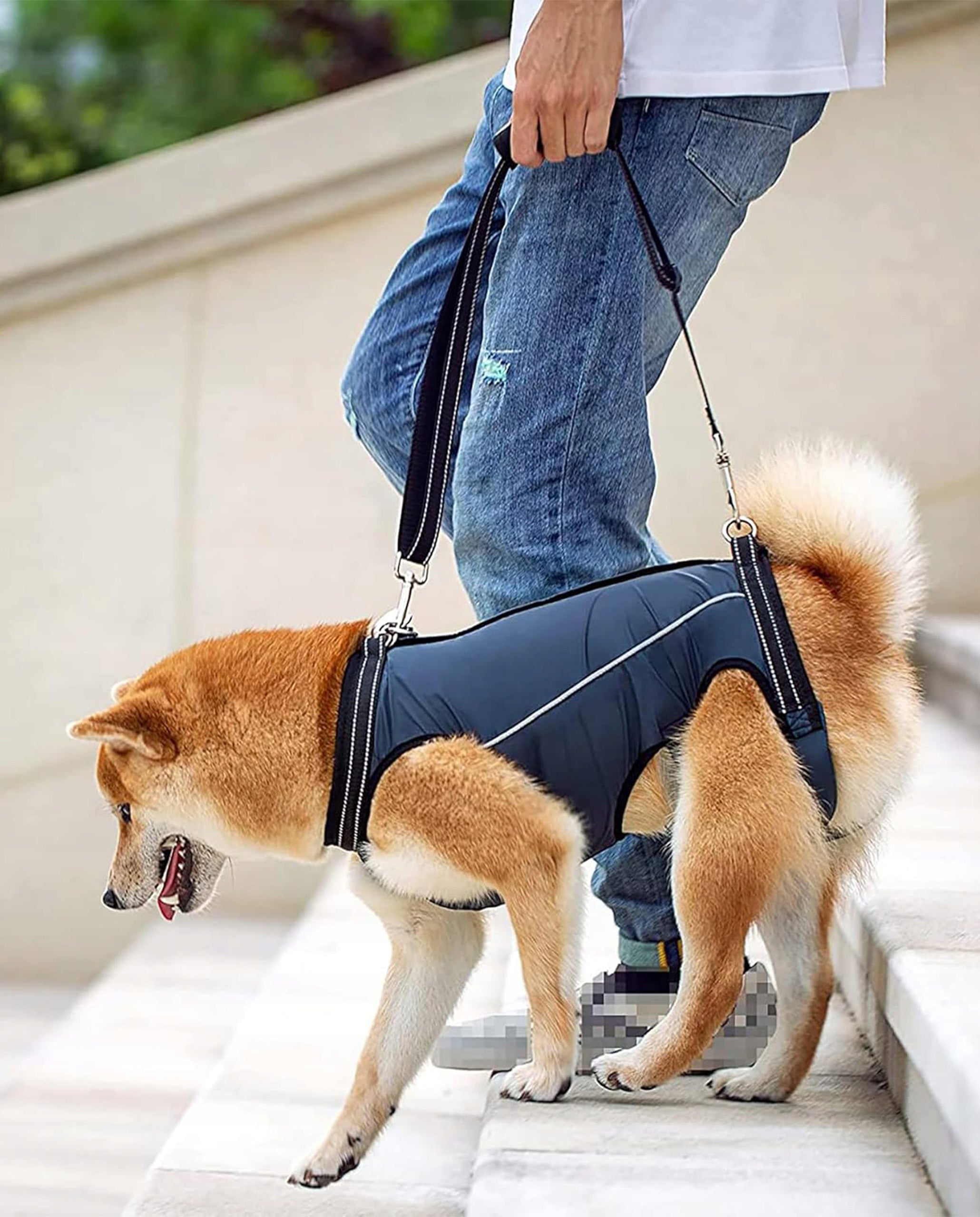 DOG HARNESS Rehabilitation Harness For Animal Lifting Carrier XS Maximum neck girth 36 cm