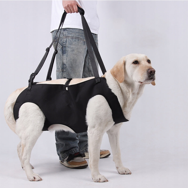 DOG HARNESS Rehabilitation Harness for Animal Lifting Carrier M Trade name Purrtiny