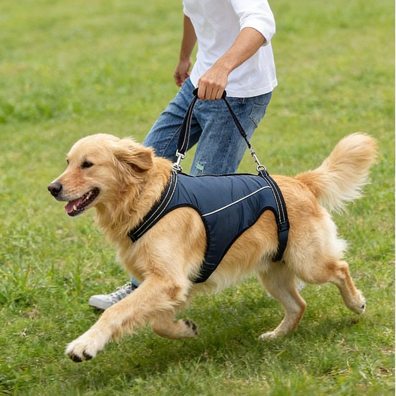 DOG HARNESS Rehabilitation Harness for Animal Lifting Carrier S Packaging status original
