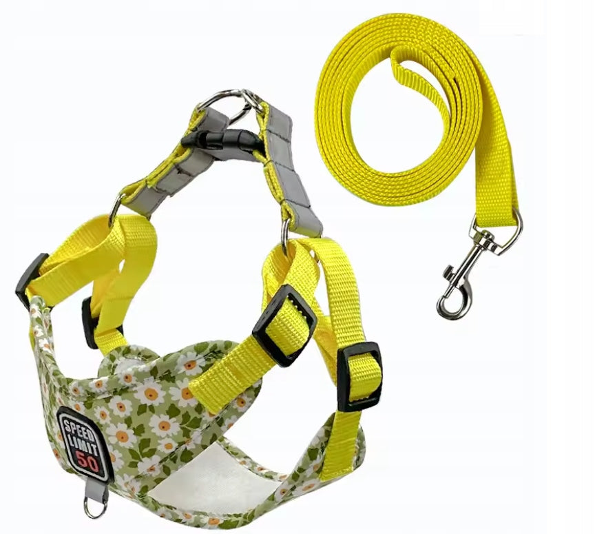 DOG HARNESS SIZE L 7-10KG ADJUSTABLE REFLECTIVE COLORED + LEASH