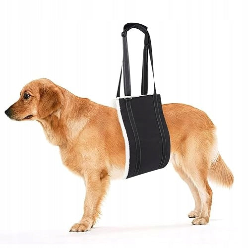 DOG HARNESS TO WEAR BACK SOFT SUPPORT DISABLED FOR HOME