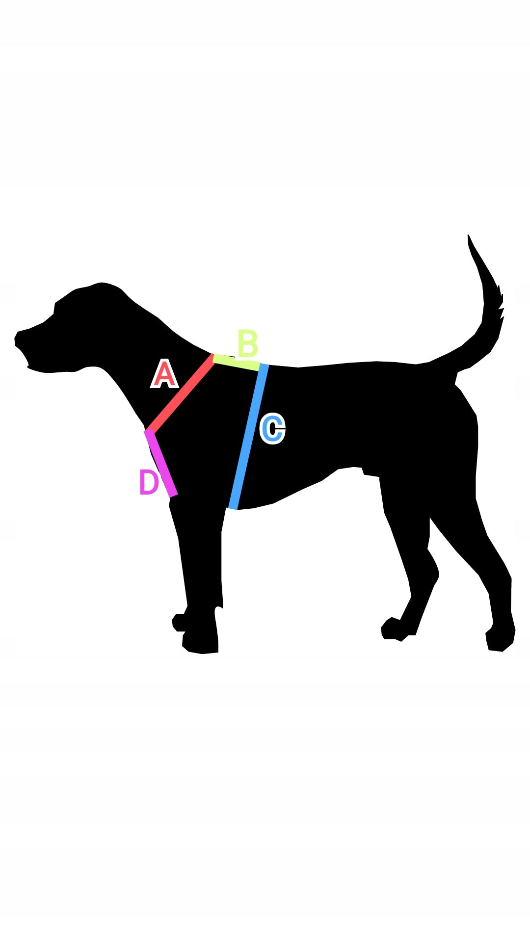 DOG HARNESS TYPE GUARD COLORFUL PAWS SIZE M AlePiesio Trade name SZELKI DLA PSA TYPU GUARD KOLOROWE ŁAPKI ROZMIAR M AlePiesio