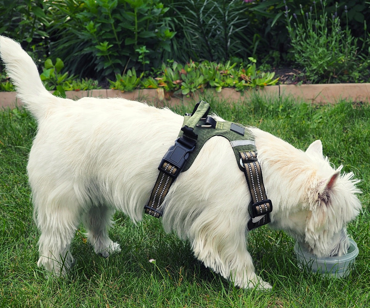 DOG HARNESS Training Strong Comfortable Reflective Beagle Corgi Schnauzer M Manufacturer code 5903433508448