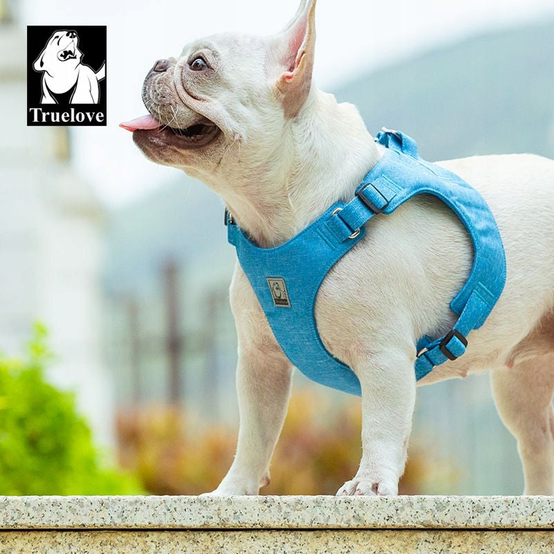 DOG HARNESS ULTRALIGHT DELICATE TRUELOVE WINGS ECO BLUE M Size M