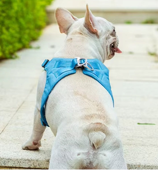 DOG HARNESS ULTRALIGHT DELICATE TRUELOVE WINGS ECO BLUE M Type adjustable