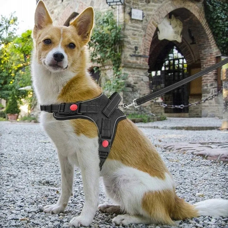 DOG HARNESS WALKING STRONG PRESSURE-FREE COMFORTABLE HANDLE 64-84cm size. L Kind walking harness