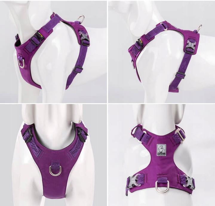 DOG HARNESS WATERPROOF LIGHT TRUELOVE ADVENTURE SOFT PURPLE M Kind training / easy walk