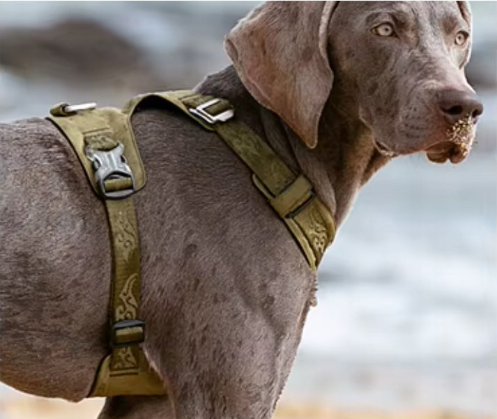 DOG HARNESS WATERPROOF TRUELOVE ADVENTURE SOFT KHAKI LIGHT M Type tactical harness