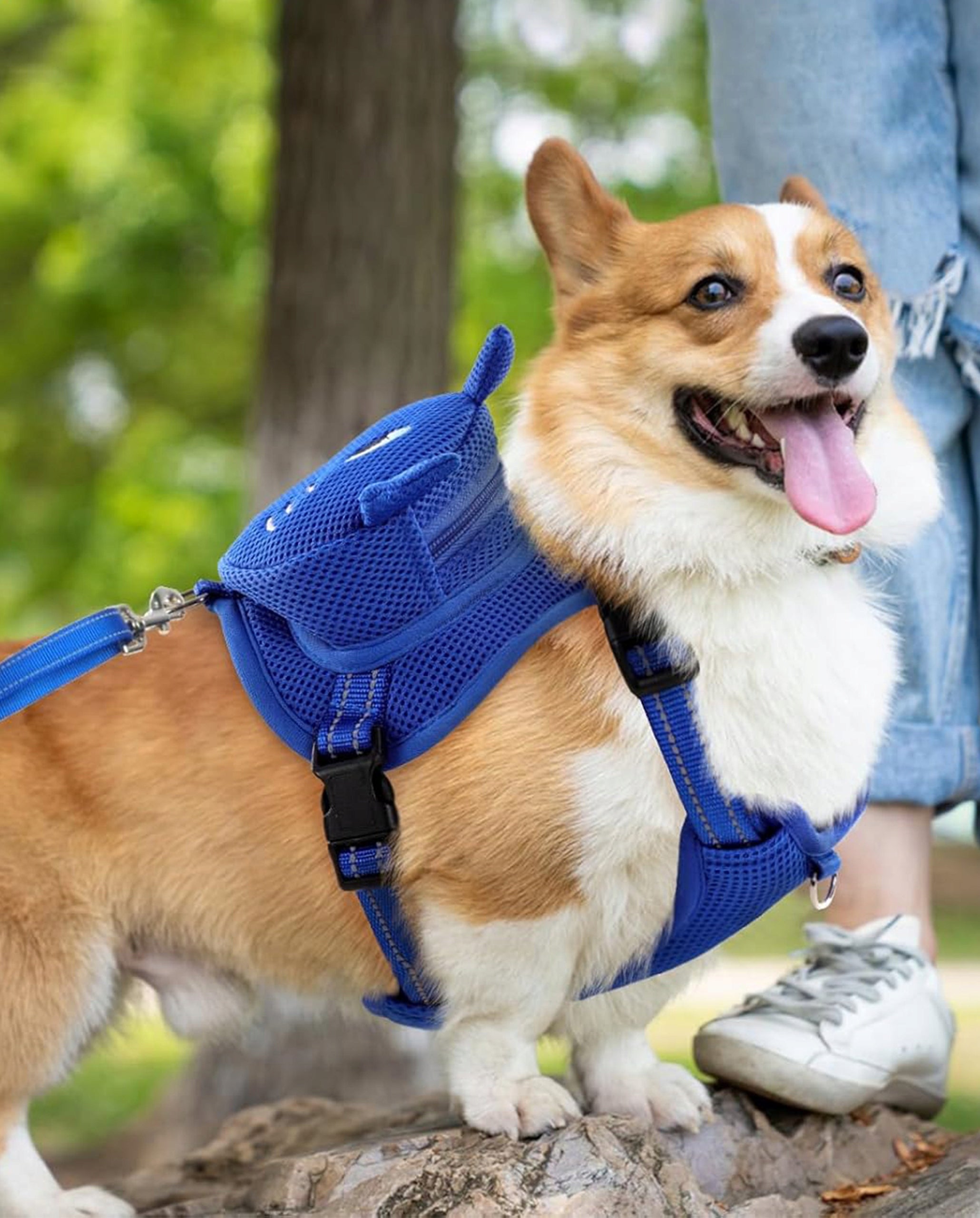 DOG HARNESS Walking Adjustable Pressure-Free With Backpack Breathable XS Packaging status original