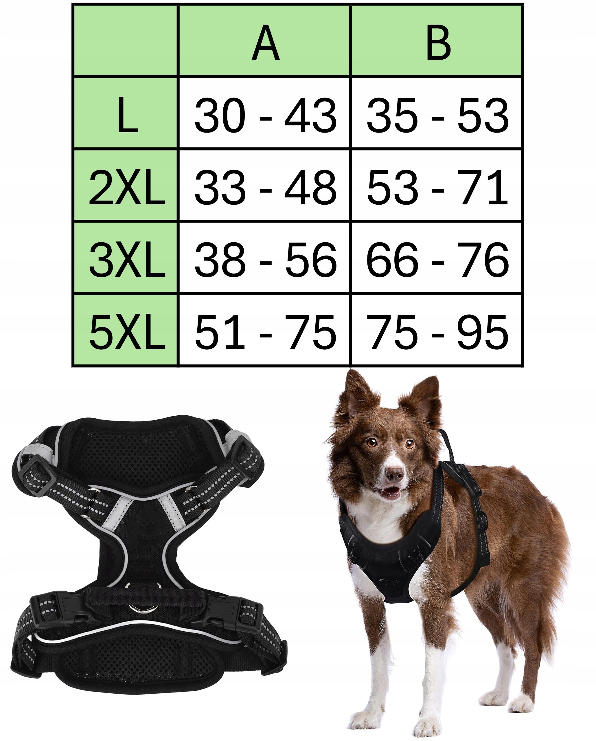 DOG HARNESS with Lanyard Strong Tactical Reflective Lanyard 150 cm Black 2XL Manufacturer code Wytrzymałe Szelki dla Psa ze Smyczą 2XL