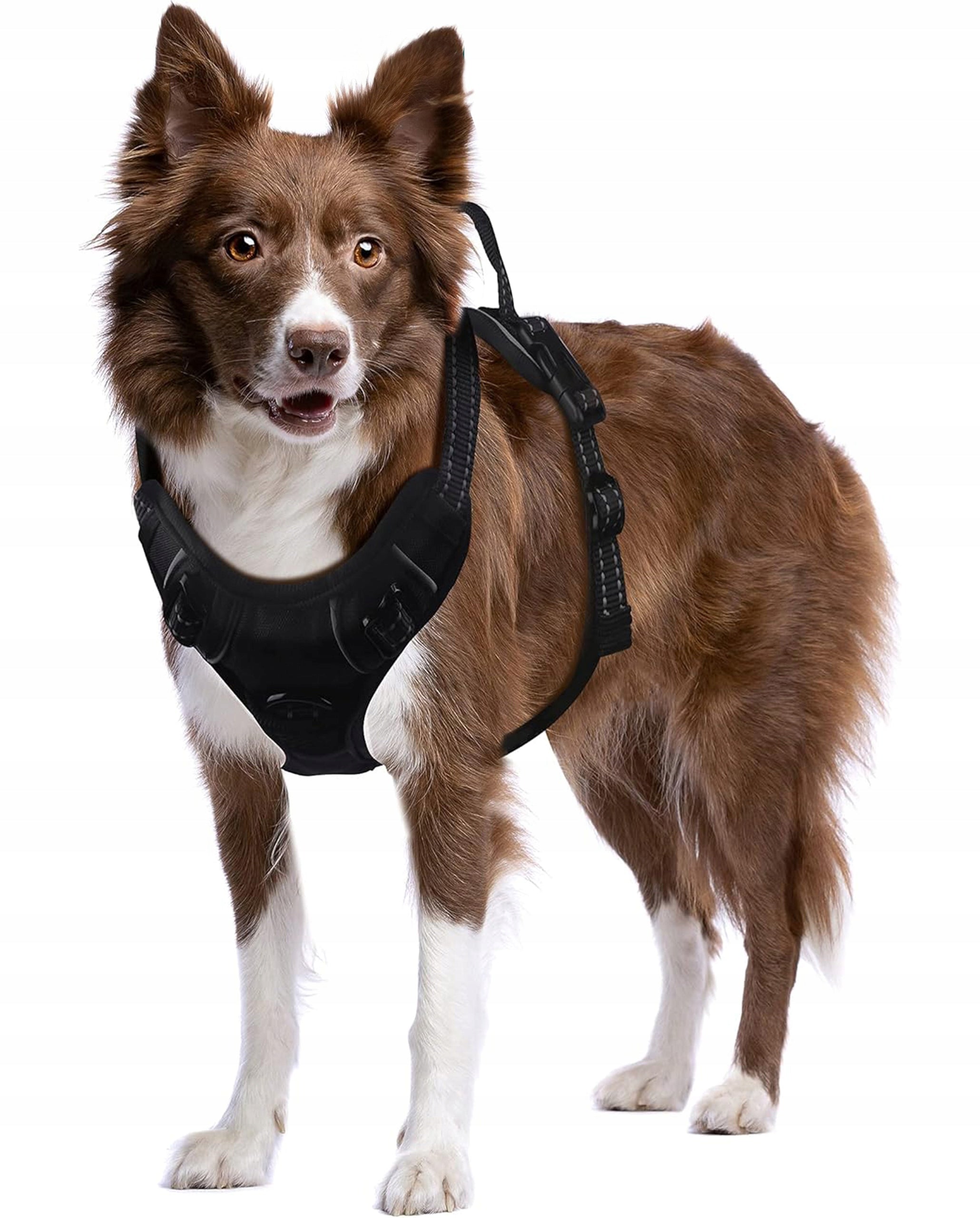DOG HARNESS with Lanyard Strong Tactical Reflective Lanyard 150 cm Black 2XL Maximum neck girth 48 cm