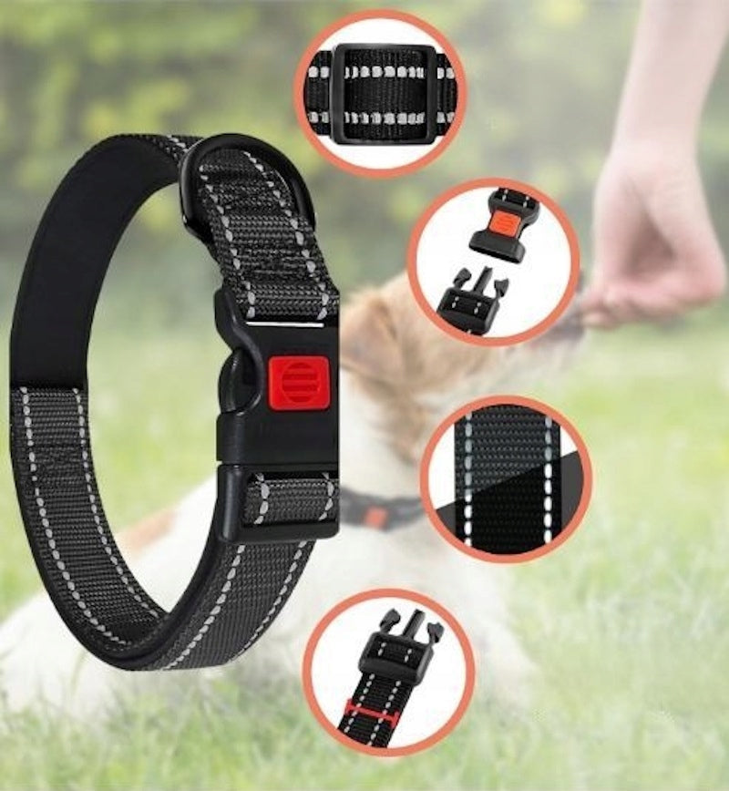 DOG LANYARD SET 1,5m REFLECTIVE COLLAR ADJUSTABLE BOWL DISPENSER Manufacturer code B0BJ98HV3S