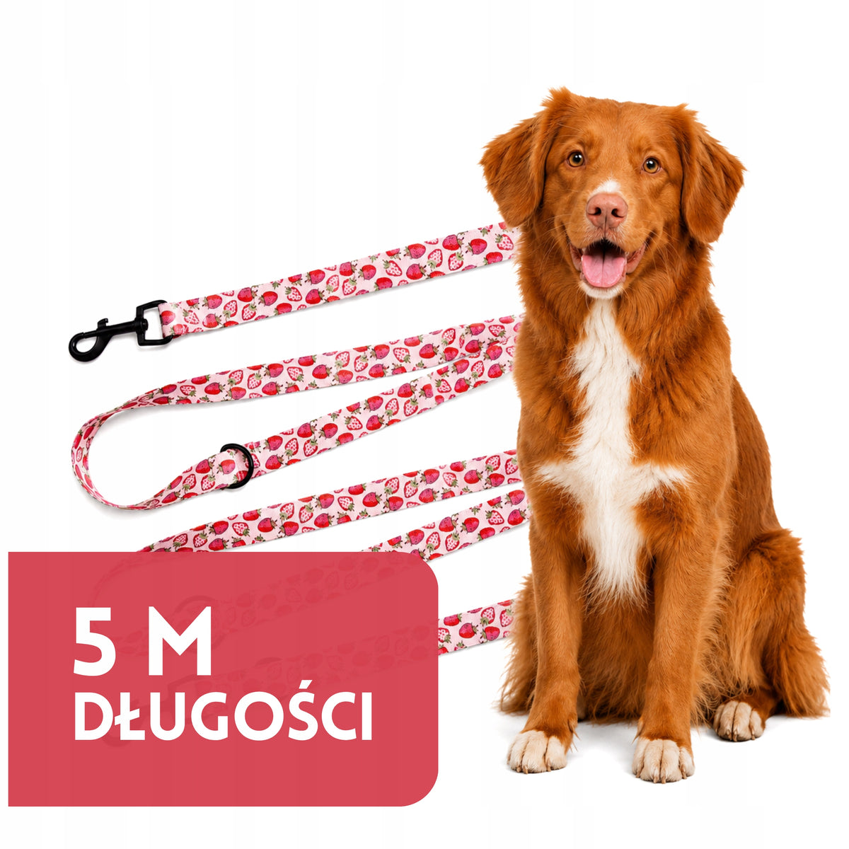 DOG LEASH ADJUSTABLE CLIP-ON WEBBING 25mm 5 m ZANDOR STAWBERRY Packaging status original