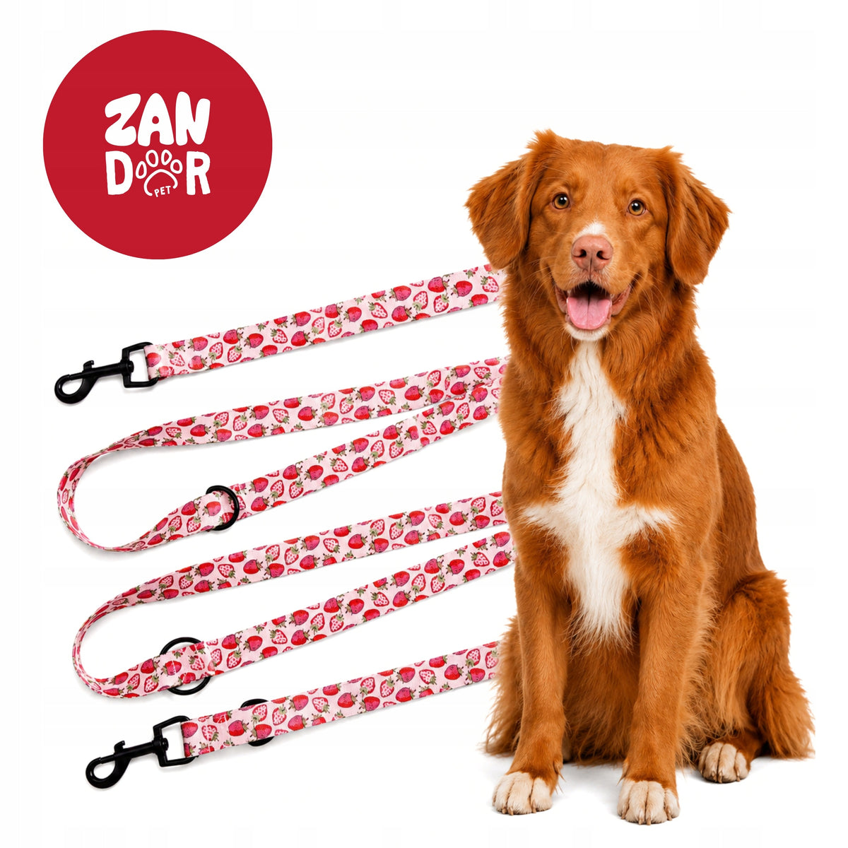 DOG LEASH ADJUSTABLE CLIP-ON WEBBING 25mm 5 m ZANDOR STAWBERRY