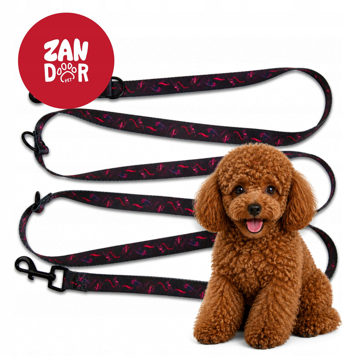 DOG LEASH ADJUSTABLE DETACHABLE STRONG WEBBING 25 mm 3,1 m DRAGON
