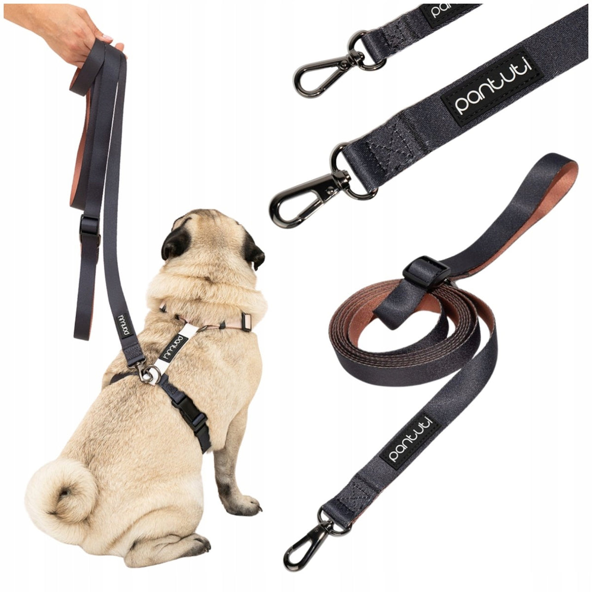DOG LEASH ADJUSTABLE FOR DOG CLIP-ON 3M BLACK FRAPPE M