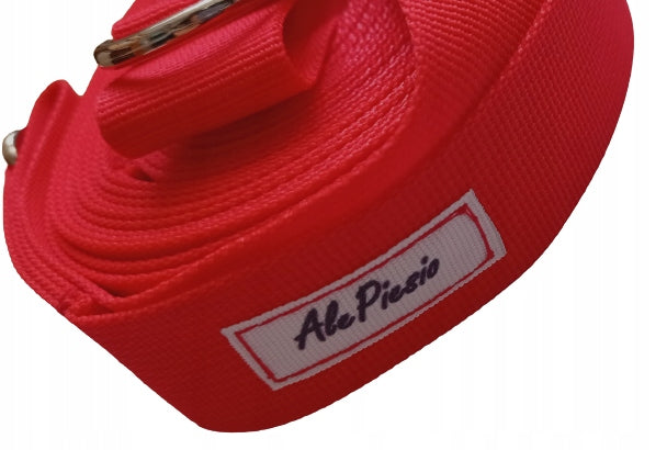 DOG LEASH CLIP-ON ADJUSTABLE LARGE CARABINER STRONG 5M RED Manufacturer code 1017