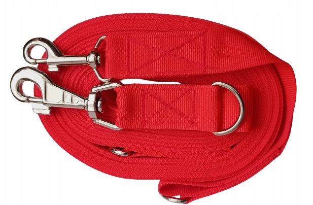 DOG LEASH CLIP-ON ADJUSTABLE LARGE CARABINER STRONG 5M RED