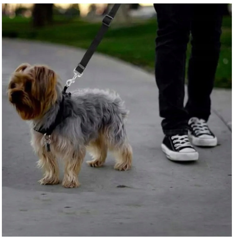 DOG LEASH FOR CAR WITH COLLAR 73 CM ADJUSTABLE STRONG SOLID EAN (GTIN) 5907649861182