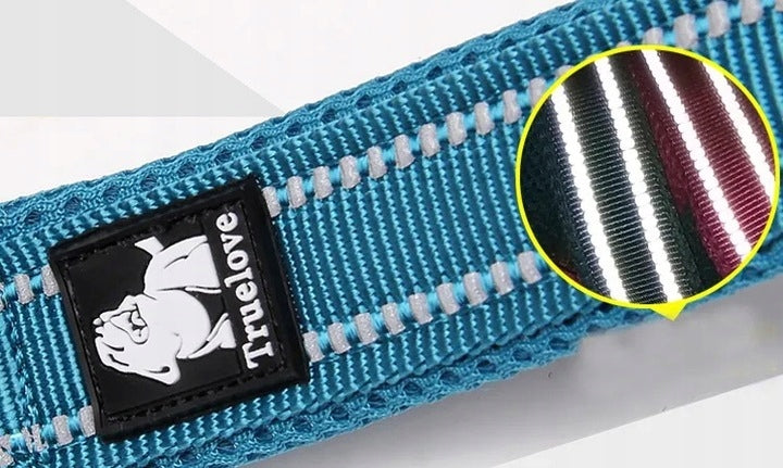 DOG LEASH REFLECTIVE STRONG TRUELOVE ACTIVE LIME 200CM SIZE M Maximum leash length 200 m