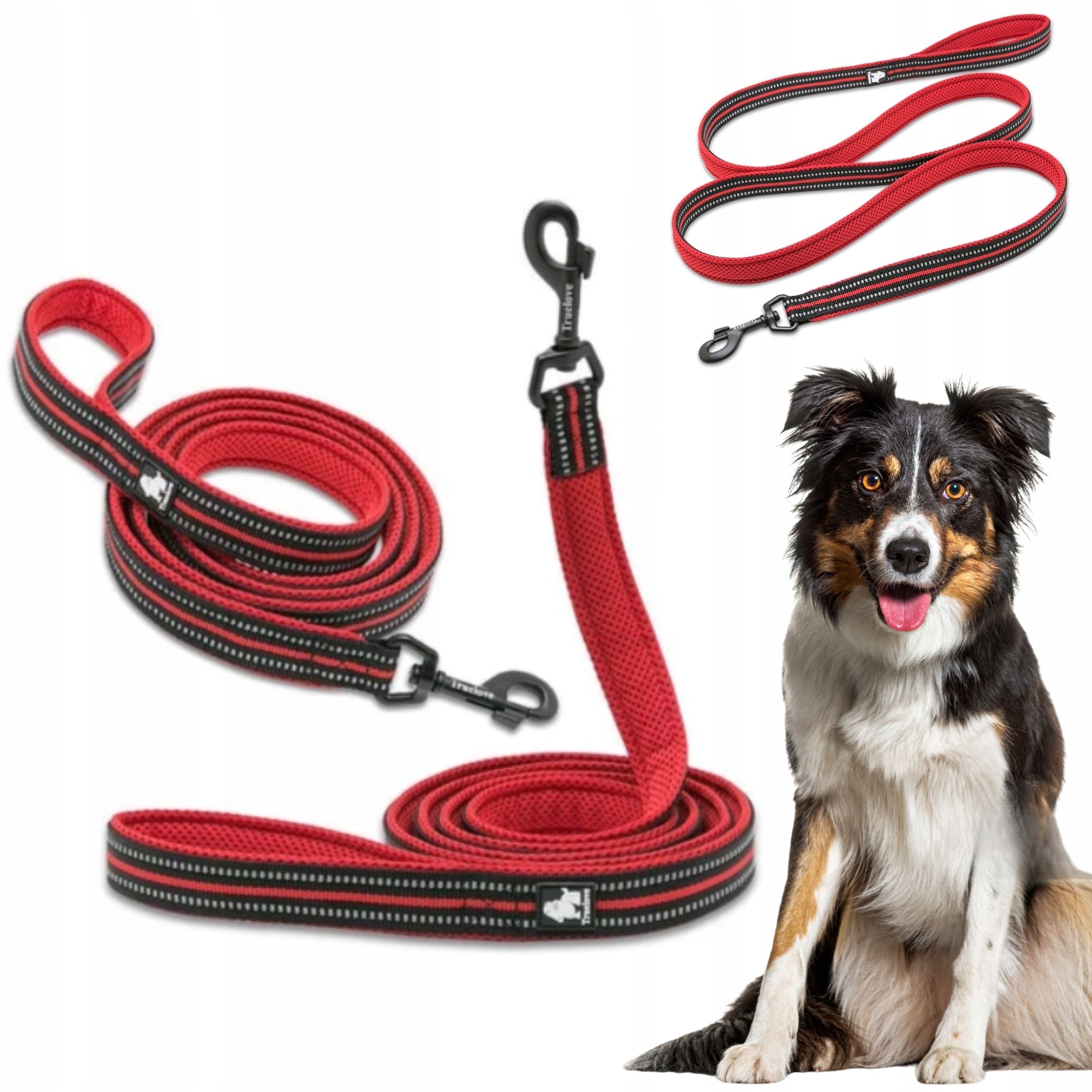 DOG LEASH REFLECTIVE STRONG TRUELOVE ACTIVE RED 200CM SIZE M