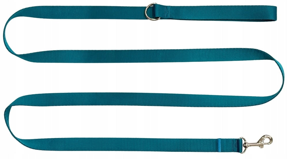 DOG LEASH STRONG Classic Durable TAPE 25mm Turquoise 3m Zepnij Packaging status original
