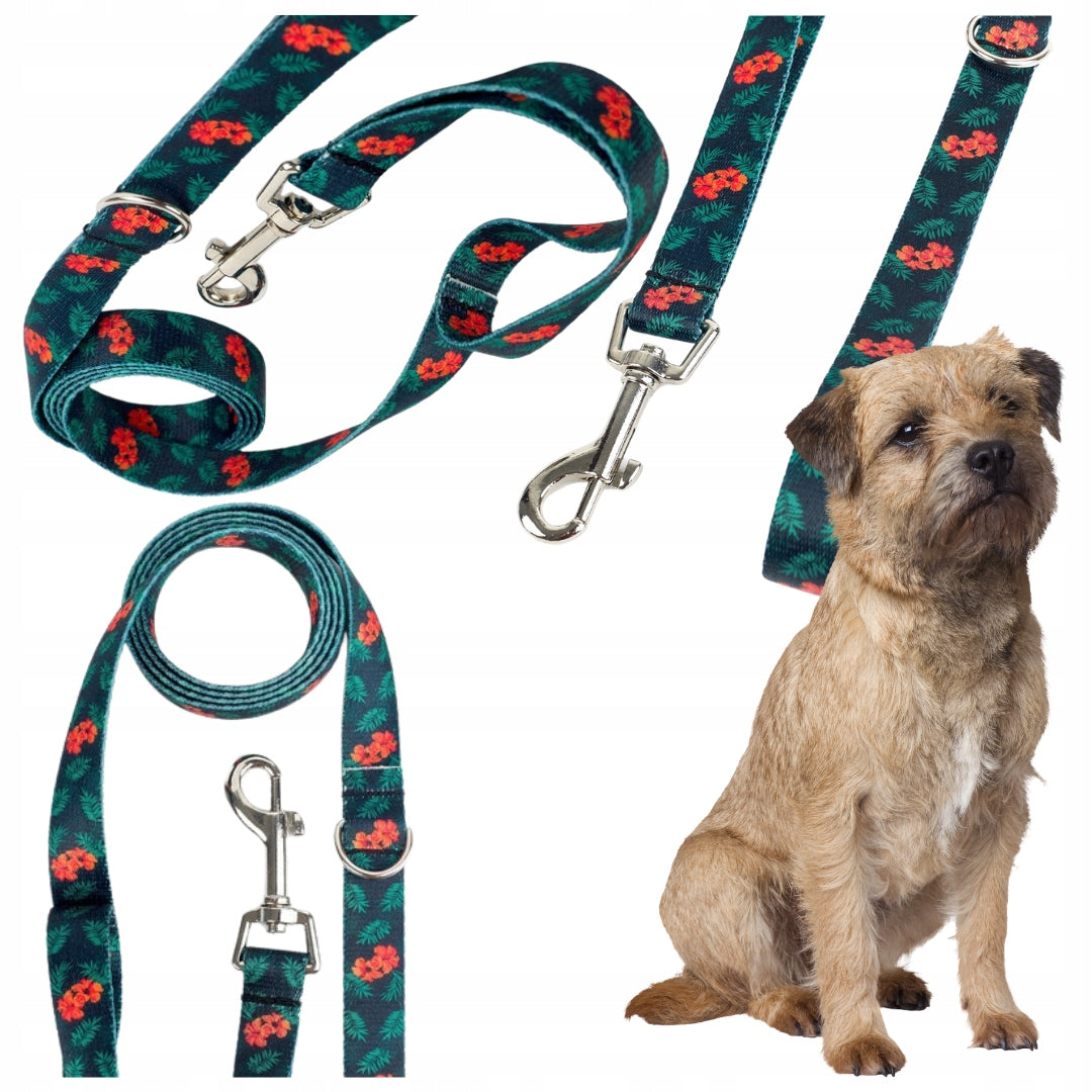 DOG LEASH STRONG TRAINING TAPE FLOWERS PEACOCK PLANET 2,4M 25MM