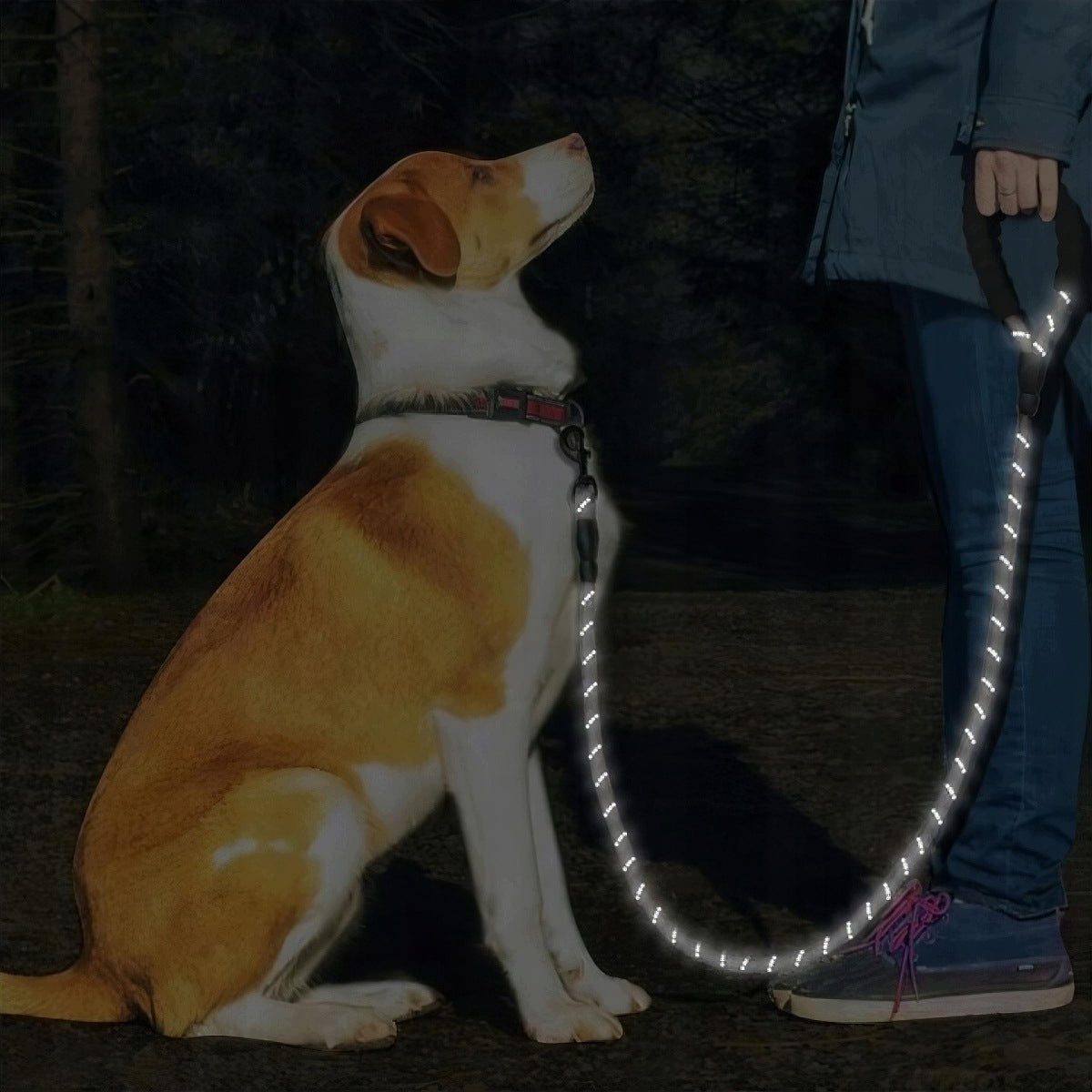 DOG LEASH TRAINING REFLECTIVE ELASTIC THICK STRONG WITH A TILT OF 150CM Manufacturer code 5908170053206