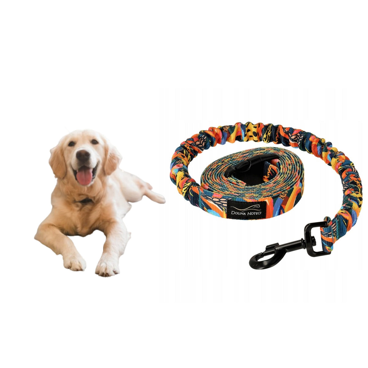 DOG LEASH WITH SHOCK ABSORBER DOLINA NOTECI TROPICAL ADVENTURE 2,8M WALK
