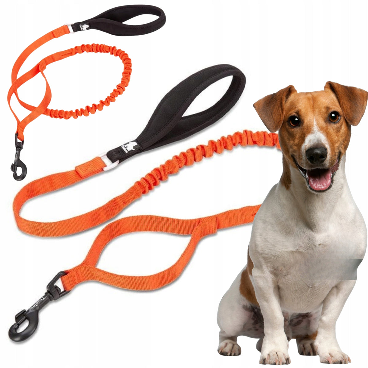 DOG LEASH WITH SHOCK ABSORBER STRONG TRUELOVE ADVENTURE 160CM ORANGE S