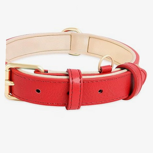 DOG LEATHER COLLAR SOFT PADDED M 39 49 CM for home gift