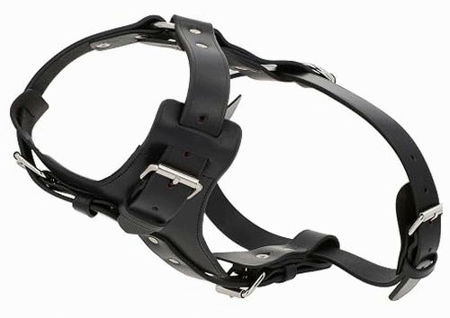DOG LEATHER HARNESS THEKLA BLACK LEATHER ADJUSTABLE leather