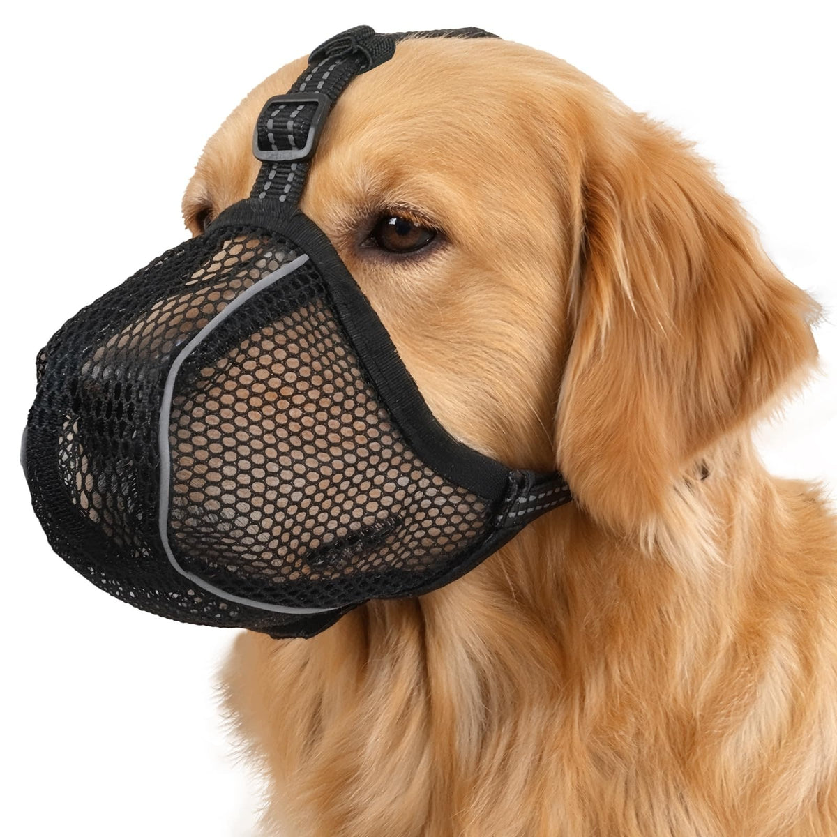 DOG MUZZLE MATERIAL REFLECTIVE ADJUSTABLE BUCKLE SIZE S BLACK
