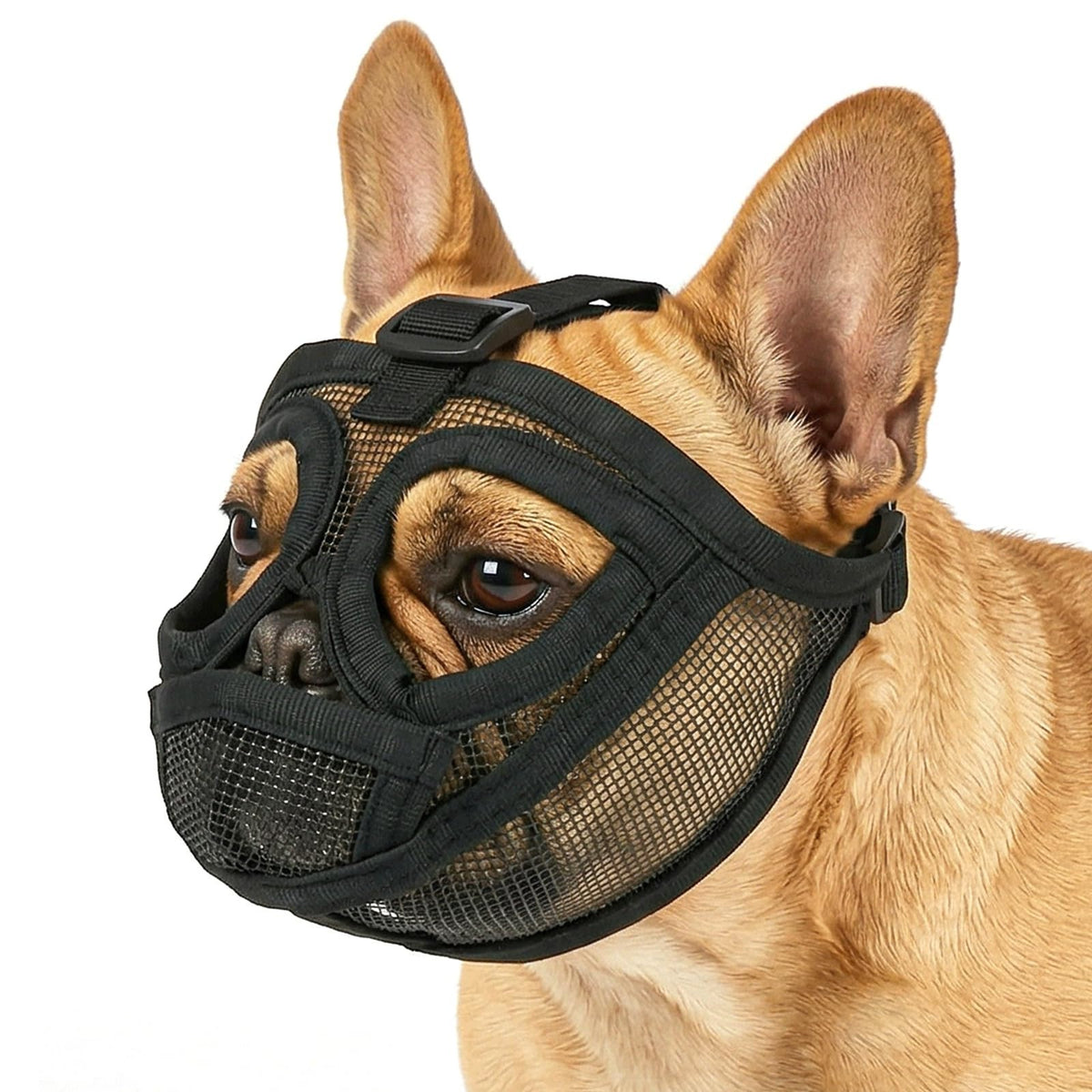 DOG MUZZLE MESH ADJUSTABLE BLACK SIZE S SMALL BREED BREATHABLE