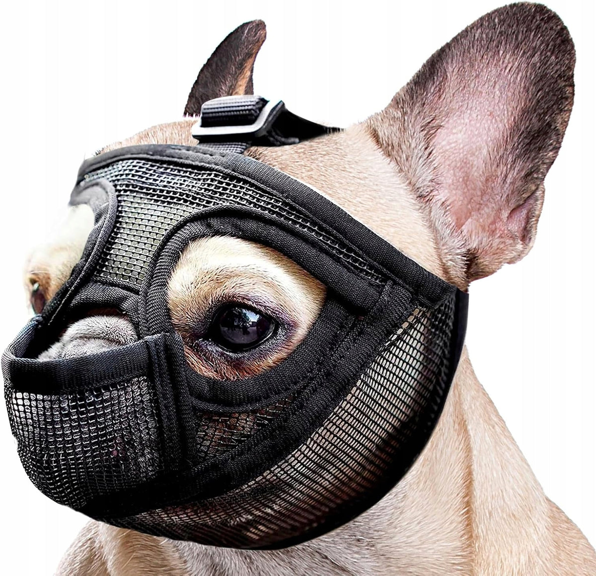 DOG MUZZLE WITH MESH SIZE M BLACK LIGHT COMFORTABLE