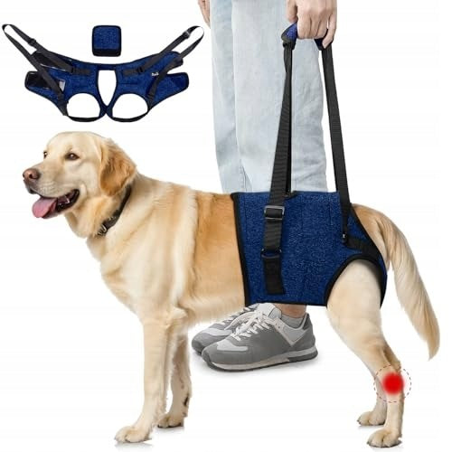 DOG REAR LEG SUPPORT HARNESS ADJUSTABLE SIZE S Packaging status original