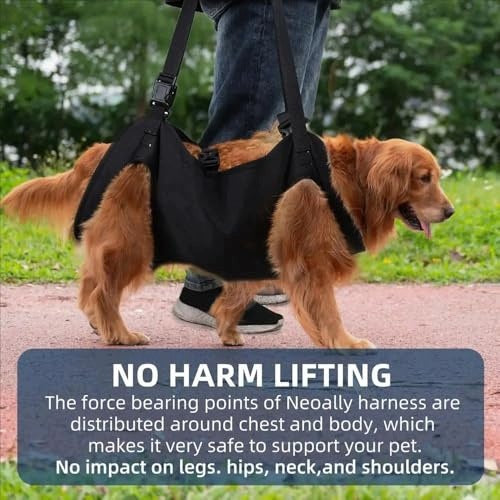 DOG REHABILITATION HARNESS FOR BACK PAWS ADJUSTABLE for home gift Brand no brand